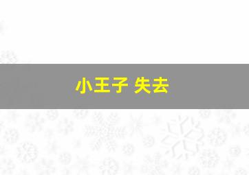 小王子 失去